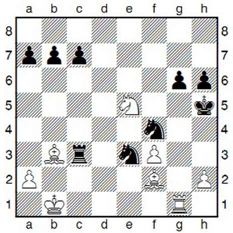 Zeitgenuss - Schach: Hochspannung