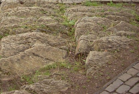 Mythische Reste: Nur rund 20 Quadratmeter Schiefer auf dem Felsenplateau sind noch unversiegelt wie zu Loreleys Zeiten.