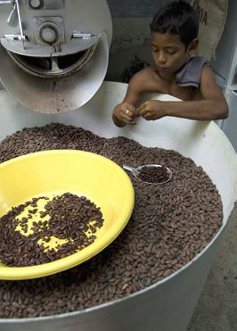 Mit der Kakaoproduktion in San José de Apartadó werden den Menschen in der Friedensgemeinde Einkommens- und Beschäftigungsmöglichkeiten geschaffen. Die Kooperation mit der Kosmetikfirma Lush ist eine weitere Hilfe.