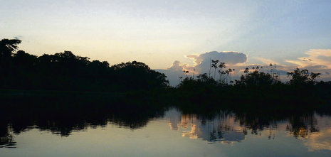 Abenddämmerung über der Schwarzen Lagune im Yasuní-Nationalpark