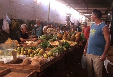 Bauernmarkt in Havanna: Das Angebot an heimischen Produkten soll breiter und üppiger werden.