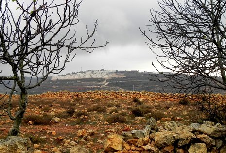 500 Meter von Nassars Farm entfernt liegt eine der vielen israelischen Siedlungen im Gebiet südwestlich von Bethlehem.