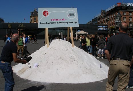 Das Foto zeigt eine Informationskampagne der Stadt Kopenhagen aus dem Jahr 2009. Damals wurden 14 Tonnen Salz auf den Rathausplatz der dänischen Hauptstadt geschüttet – die Menge, die im Großraum Kopenhagen wöchentlich zu viel konsumiert wird.