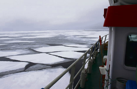 Das dänische Forschungsschiff »Porsild« vor Grönland