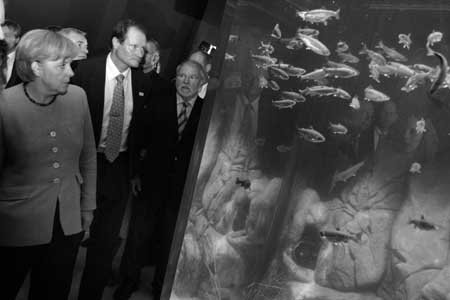 Merkel eröffnete Meeresmuseum in Stralsund