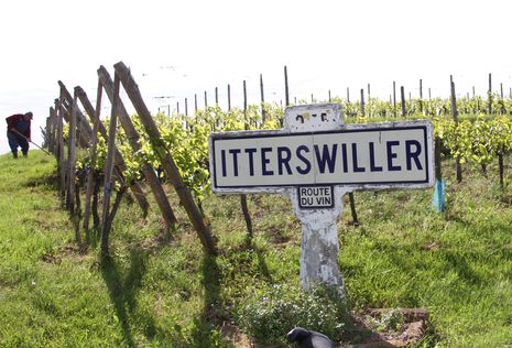 Manchmal, wie in Itterswiller, sieht man noch uralte Hinweisschilder auf dem Weinweg.