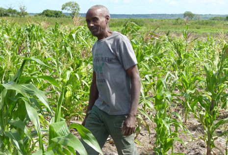 Land Grabbing gefährdet die Existenz von Kleinbauerin in Mosambik.