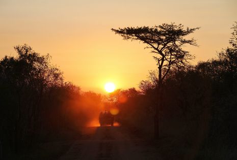 Der Tag im Krüger Nationalpark geht, eine nächtliche Safari beginnt.