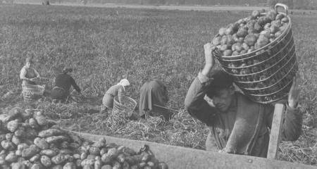 Mit der Ausbeutung von Millionen von Zwangsarbeitern hat die deutsche Wirtschaft Riesenprofite gemacht.