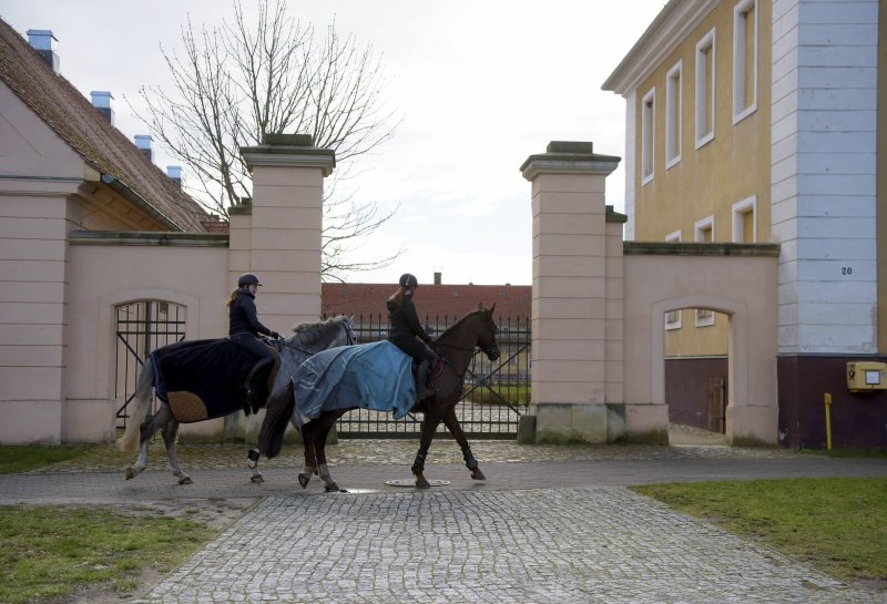 Neustadt (Dosse) ist Pferdestadt, der Betrieb des Gestüts läuft wie gewohnt.