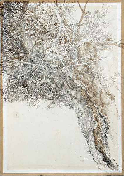 &#187;Baum V&#171;, 1990, Tusche und Bleistift auf Japanpapier, auf Karton. Sammlung Pierre Higonnet, Farfa
