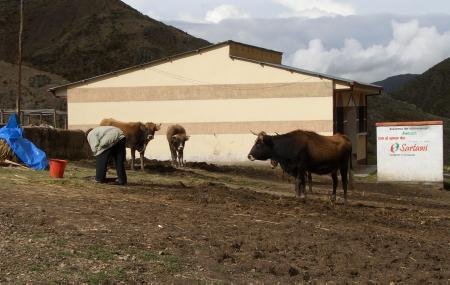 Die Stiftung Sartawi f&#246;rdert Kleinbauern im Altiplano.