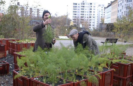 Robert Shaw (l.) und Marco Clausen initiierten 2009 die Prinzessinneng&#228;rten in Berlin-Kreuzberg.