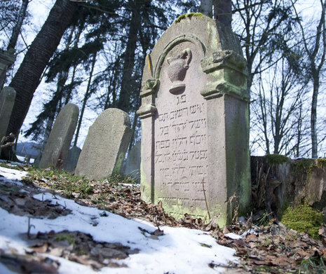 Blick auf den jüdischen Friedhof in Willmars