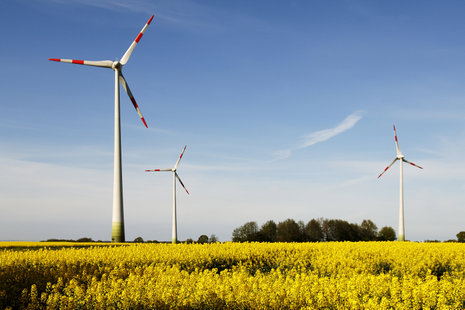 Windige Pläne statt Windkraft und Raps-Power? Die EU liegt bei ihren Energiezielen zurück.