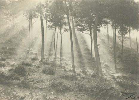 Léonard Misonne: Soleil et brouillard (Sonne und Nebel). 1898, Platindruck, Staatliche Kunstsammlungen Dresden, Kupferstich-Kabinett, Repro: Herbert Boswank