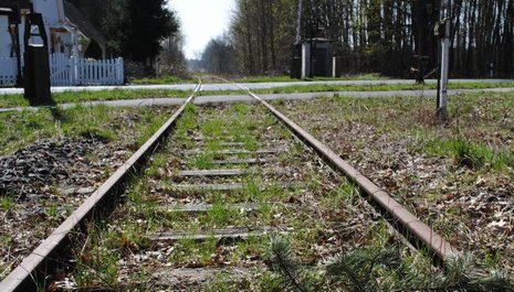 Kein Profit – kein Bahnverkehr: Eine ehemalige Nahverkehrsstrecke im ländlichen Raum in Niedersachsen wächst zu.