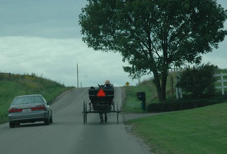 Die Amish sind eine täuferisch-protestantische Glaubensgemeinschaft, die im 18. Jahrhundert von Europa in die USA auswanderte. Sie führen ein im Agrarbereich verwurzeltes Leben und orientieren sich an traditionellen Arbeitsweisen.