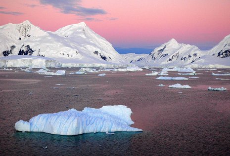Die Antarktis glüht im Gullet-Kanal und Eselspinguinmutter mit ihrem Jungen.