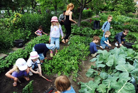 In der Gartenarbeitsschule Ilse Demme lernen Kinder viel über Natur.