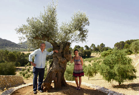 Marga und Joan Miralles unter einem rund 500 Jahre alten Olivenbaum.