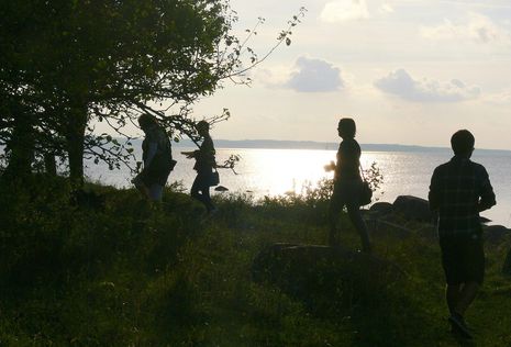 Mystisch wirkt der Strand am Kalmarsund in der Nähe von Borgholm auf Öland in der Dämmerung.